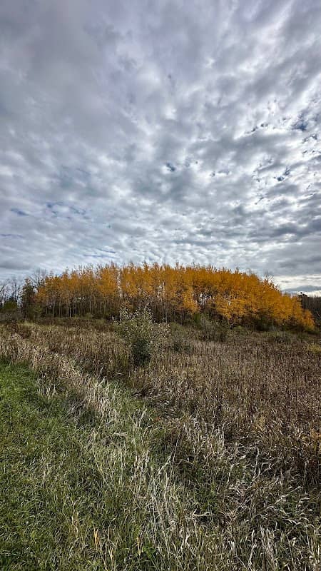 Ulao Waterfowl Production Area - Image 2
