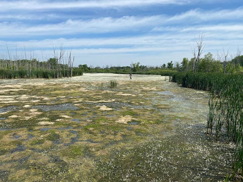 Ulao Waterfowl Production Area - Image 1