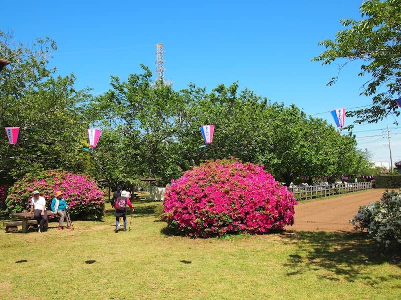 Kumoimisakitsutsuji Park - Image 1