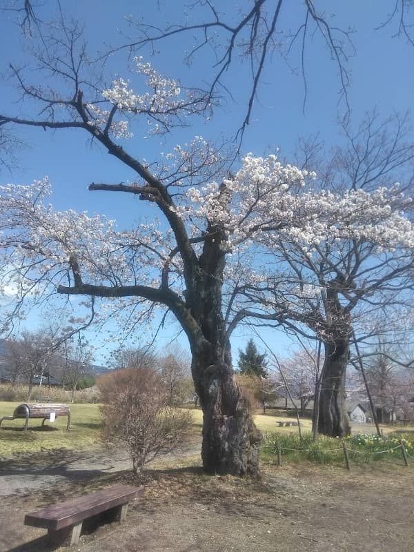 Kanashimafureai Park - Image 1