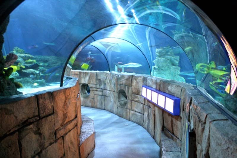 SEA LIFE Aquarium - Image 2