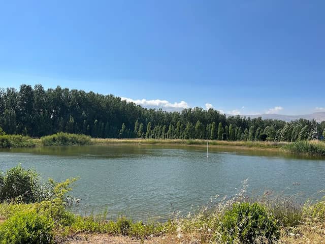 Deir Taanyal Lake - Image 1