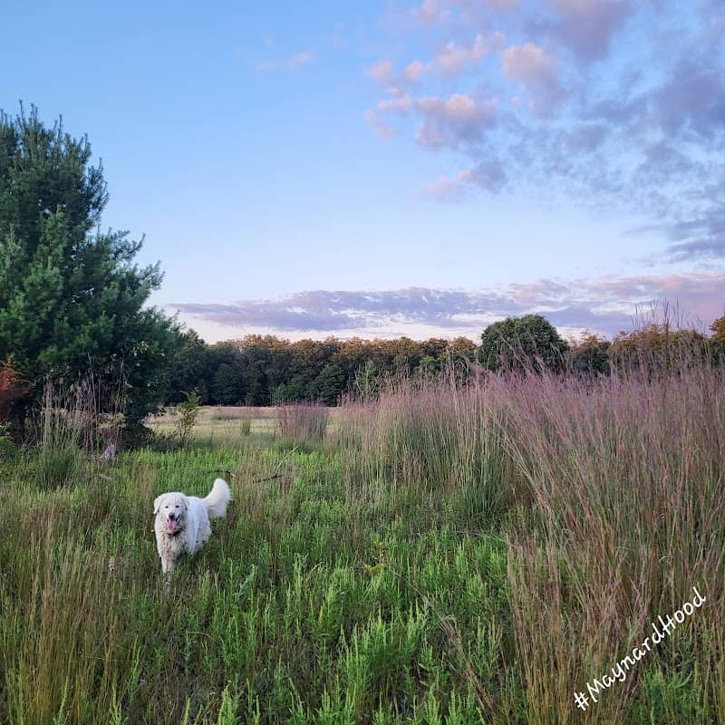 Karner Blue Nature Sanctuary - Image 1