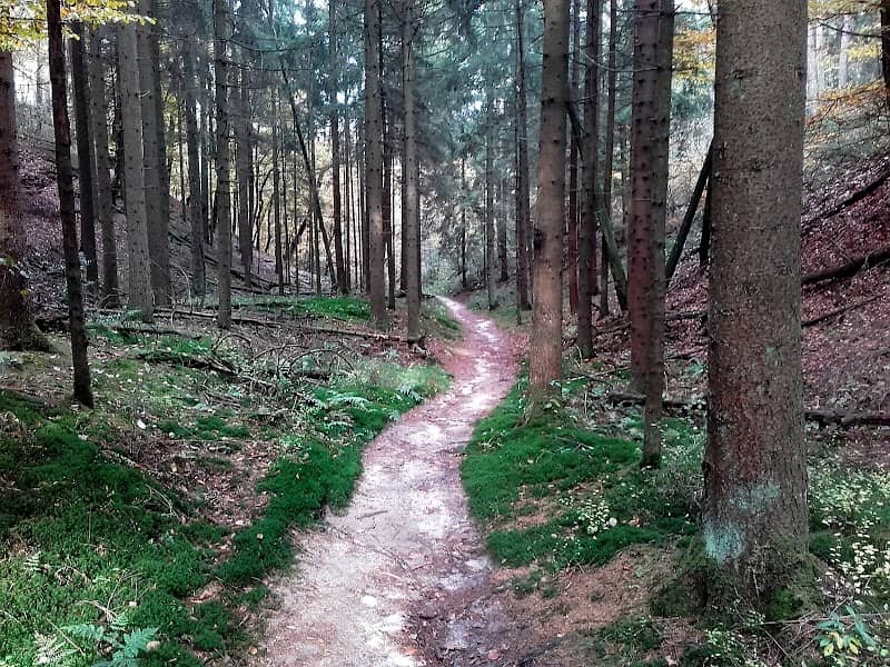 Dörenschlucht - Image 1