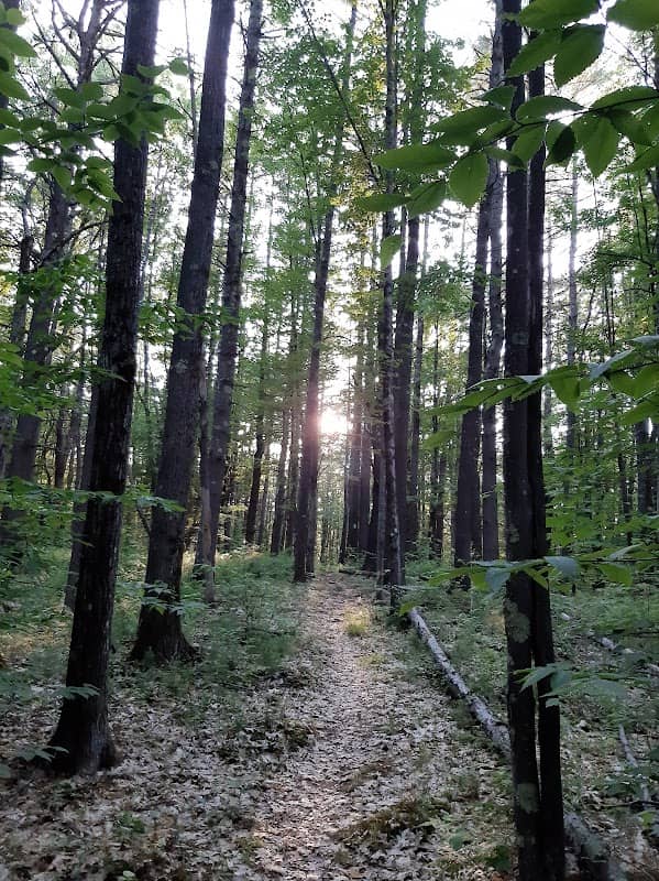 Marie's Way trailhead - Image 1