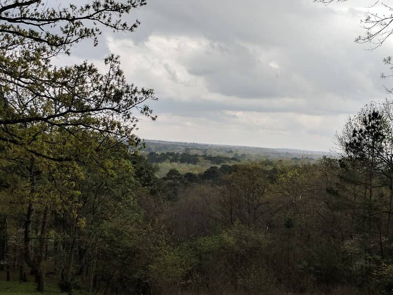 Davey Dogwood Park - Image 1