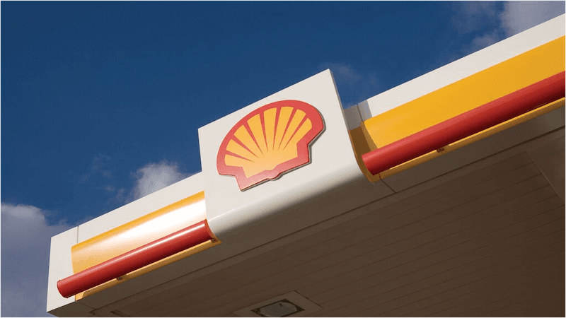 Shell - Image 1