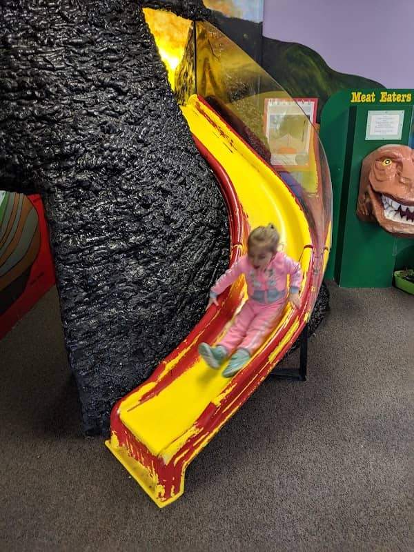 Curious Kids' Museum - Image 2