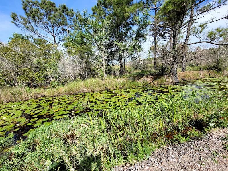 Big Branch Marsh National Wildlife Refuge - Image 2