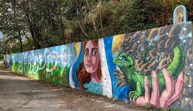 Murales "IL VOLTO DEL DEVESIO" - Image 1