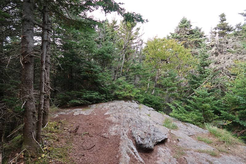 Ricker Mountain Summit - Image 2