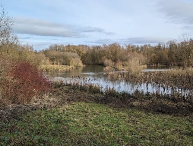 Ramsdale hide - Image 1