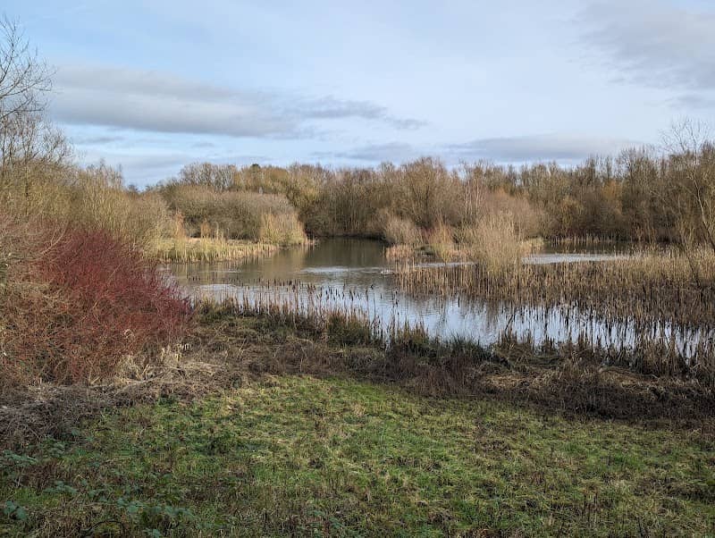 Ramsdale hide - Image 1