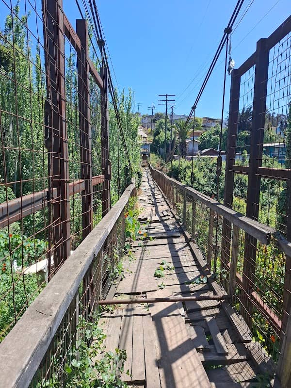 Puente Colgante Serrano - Image 1