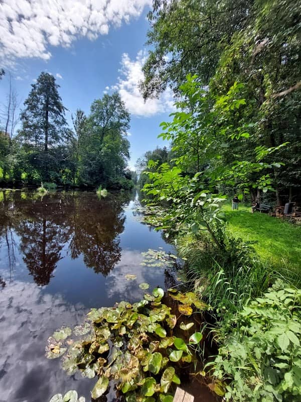 Dorfweiher Westerndorf - Image 1