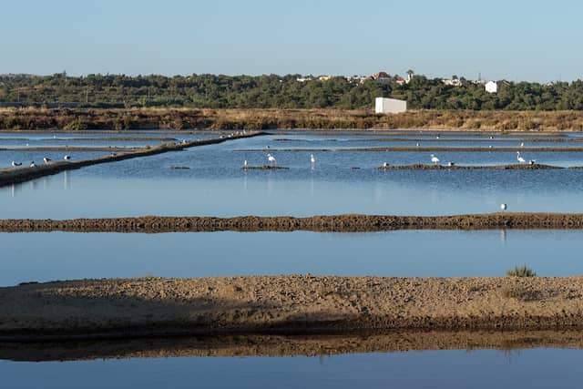 Salinas de Tavira - Image 1