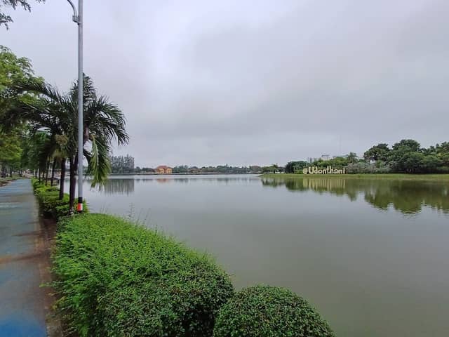 Duck In Park - Image 1