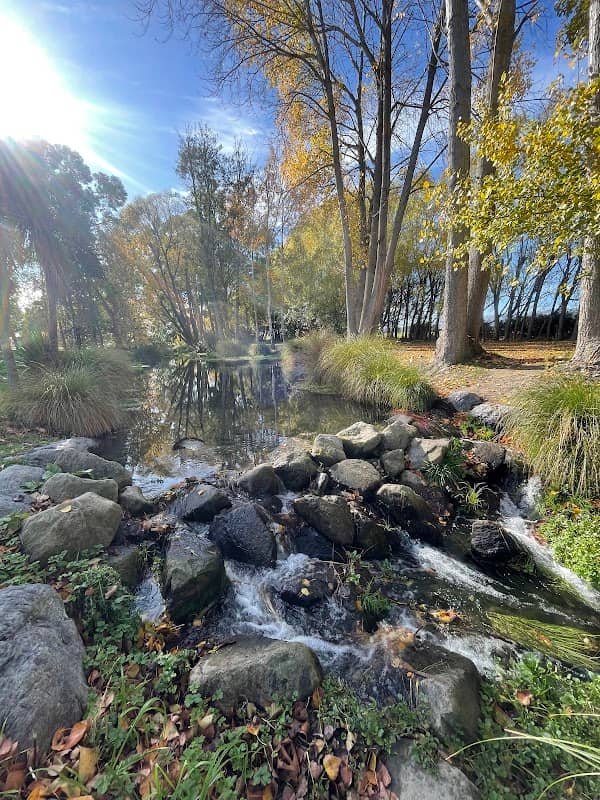 Liffey Springs Reserve - Image 2