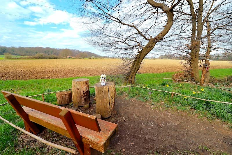 Erholungsstelle am Waldwinkelkuhle - Image 1