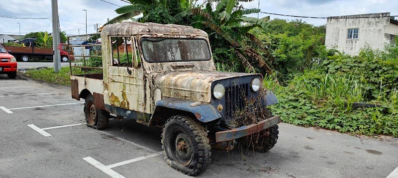 Old willy - Image 1