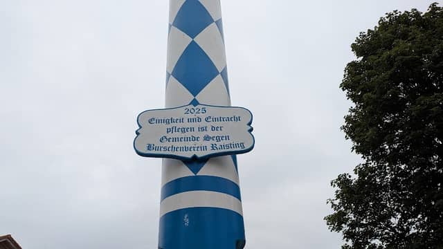 Maibaum - Image 1