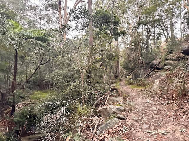 Cattai Creek Drive Reserve - Image 1