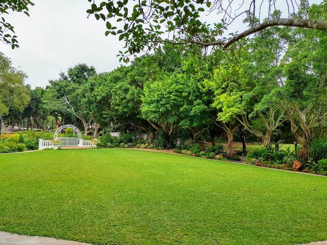 Wedding Lawn - Image 1