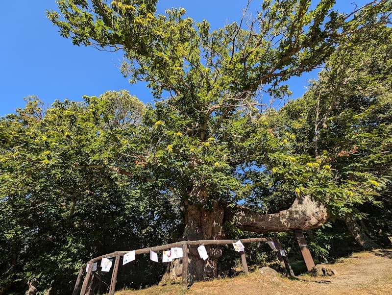 Souto de Rozavales - Image 1