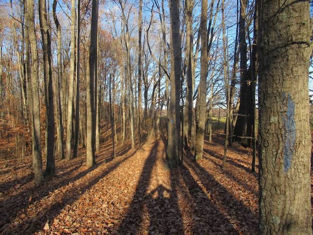 Payne's Farm Battlefield - Image 2