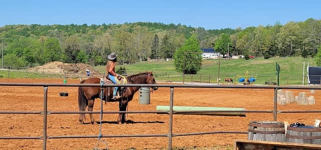 Carey Horse Farm - Image 2