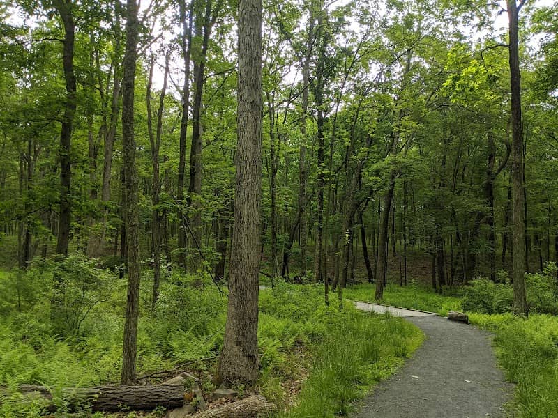 Cornelia & Florence Bridge Nature Preserve - Image 5