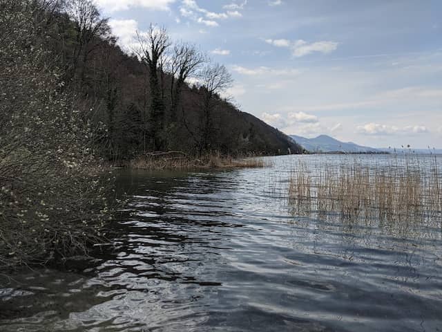 Naturschutzgebiet Bätzimatt - Image 1