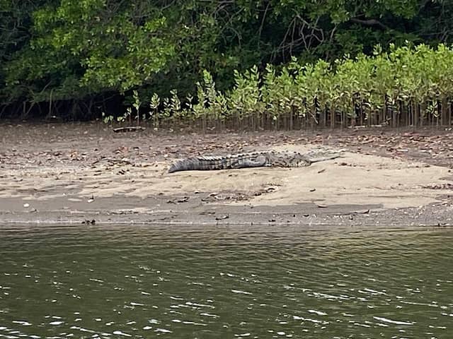 Enrique's Estuary Tours - Image 1