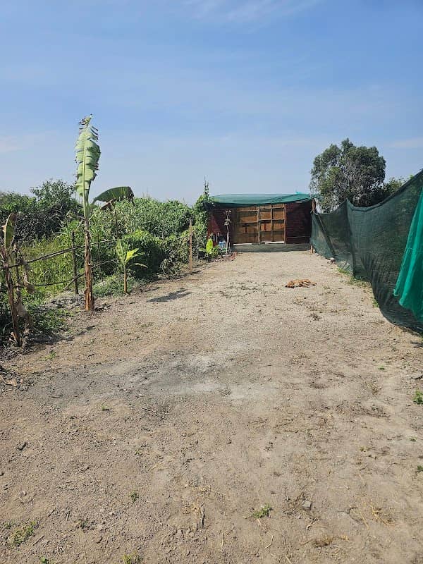 esquivilca baja - Image 1