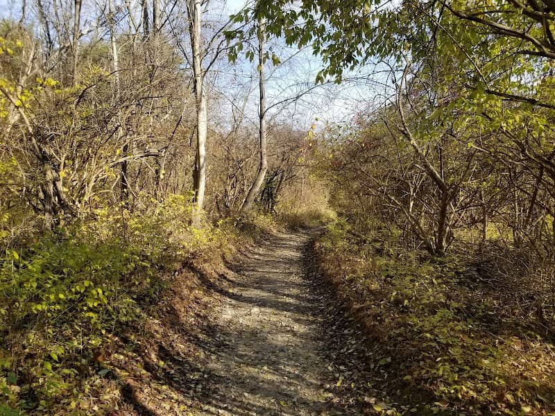 Hanging Rock Trailhead - Image 1