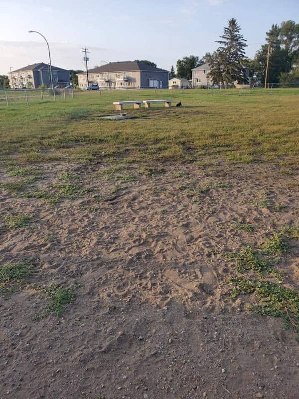 Shilo Dog Park - Image 1