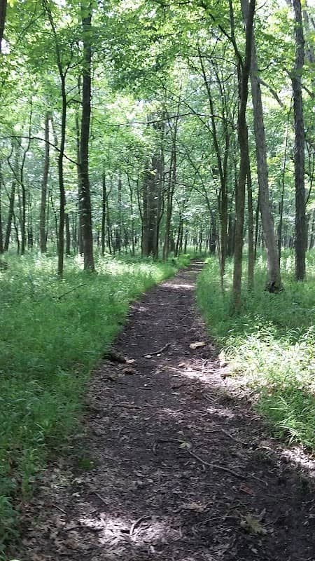 Hobart Woodland Trail - Image 1