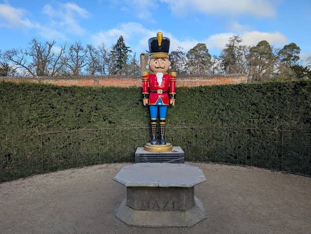Cliveden Maze - Image 2