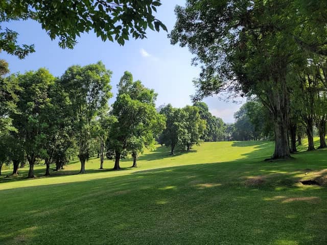 Bosque Popular El Prado - Image 1