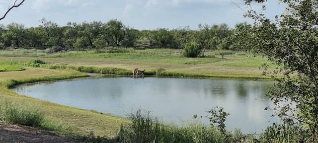 Scurry County Park Nature Trail - Image 1