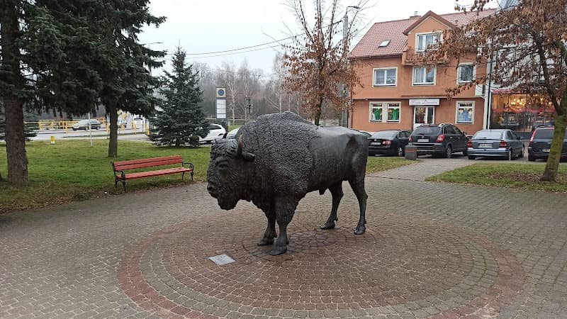 Bison monument in Zambrow - Image 1