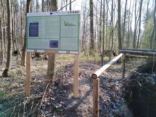 Themenwald Scheuring - Image 2