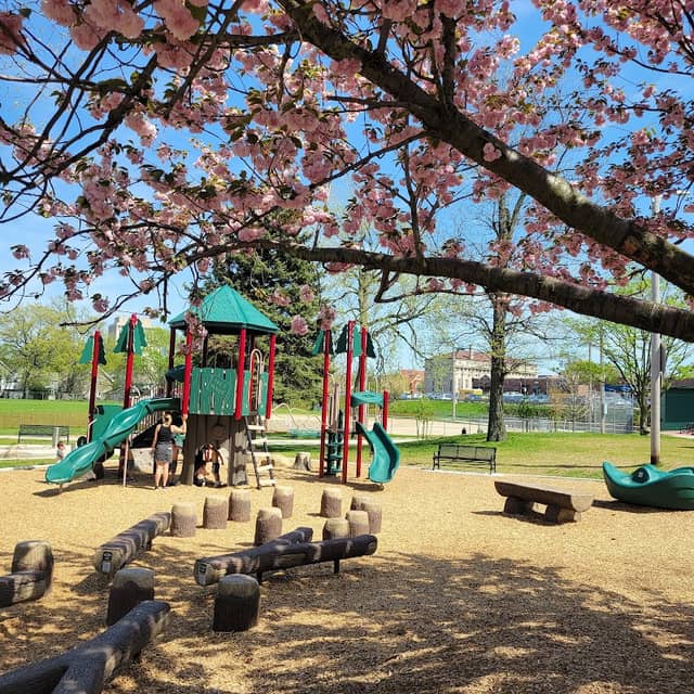 Kauffman Park - Image 1
