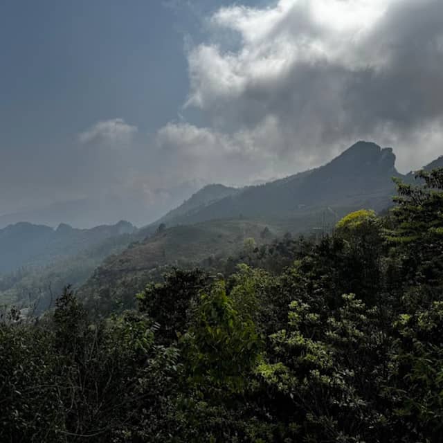 Ham Rong Sa Pa Eco-Tourism Area - Image 1