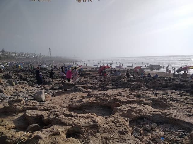 طماريس - Image 1