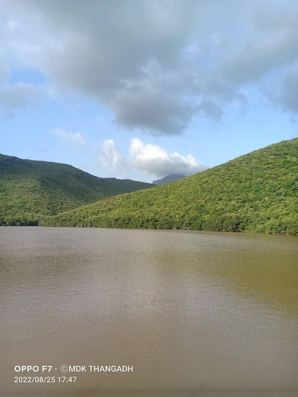 Willingdon Dam - Image 1