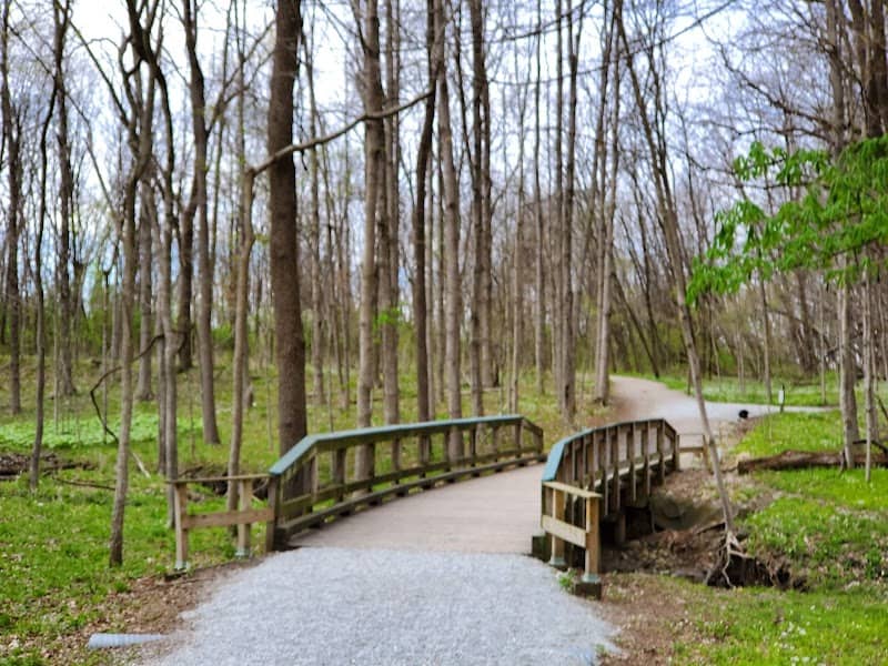 Ritchey Woods Nature Preserve - Image 1