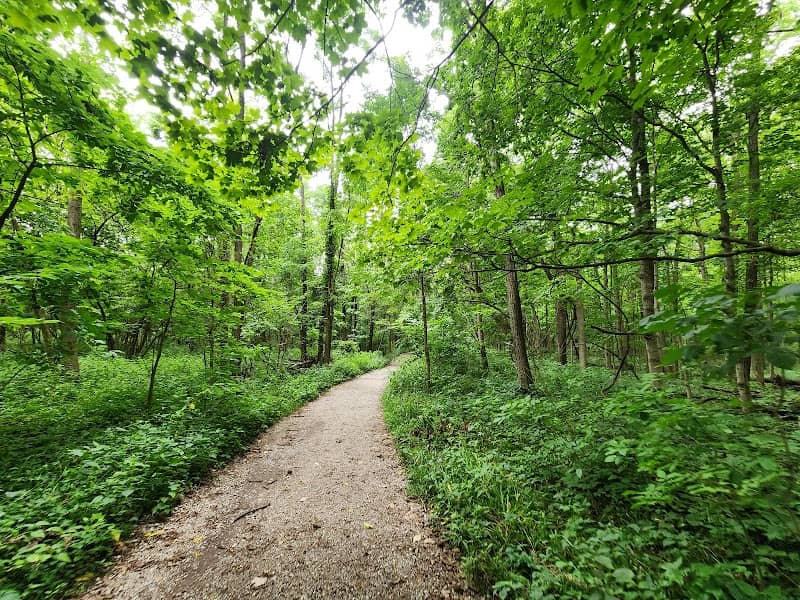 Ritchey Woods Nature Preserve - Image 2