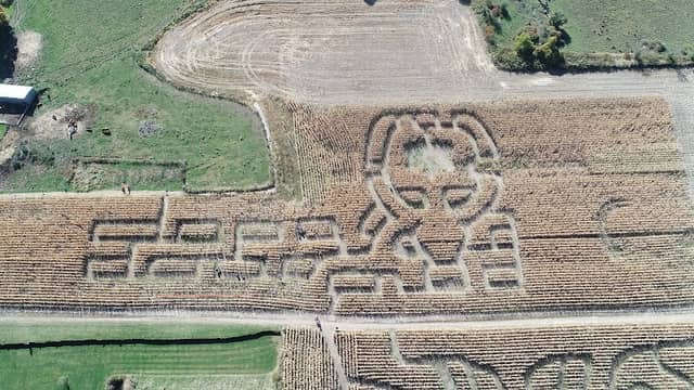 Lazy Lilac Farm - Image 2