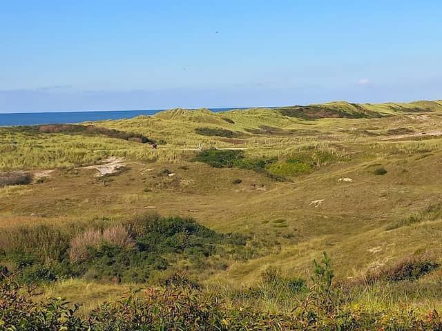 Uitzichtpunt Korfwater 👀 - Image 1